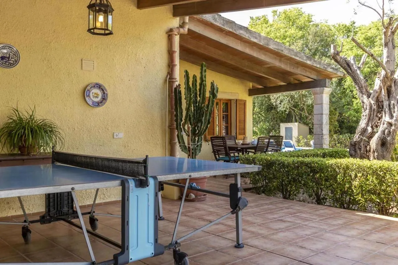 Alegre Villa Pollenca